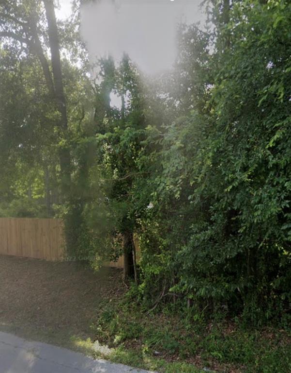 000 Wanza Road, Huntsville, Texas image 1
