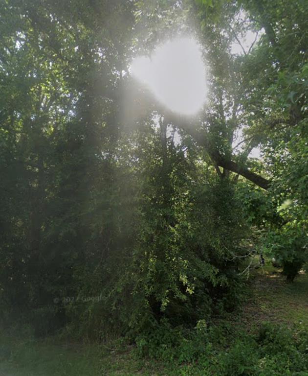 000 Wanza Road, Huntsville, Texas image 3
