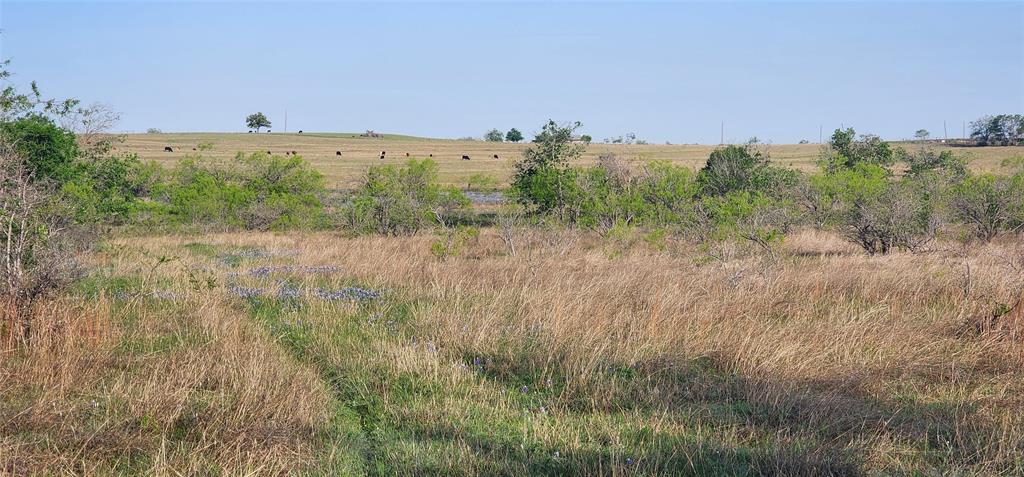 TBD N Fm 487, Buckholts, Texas image 10