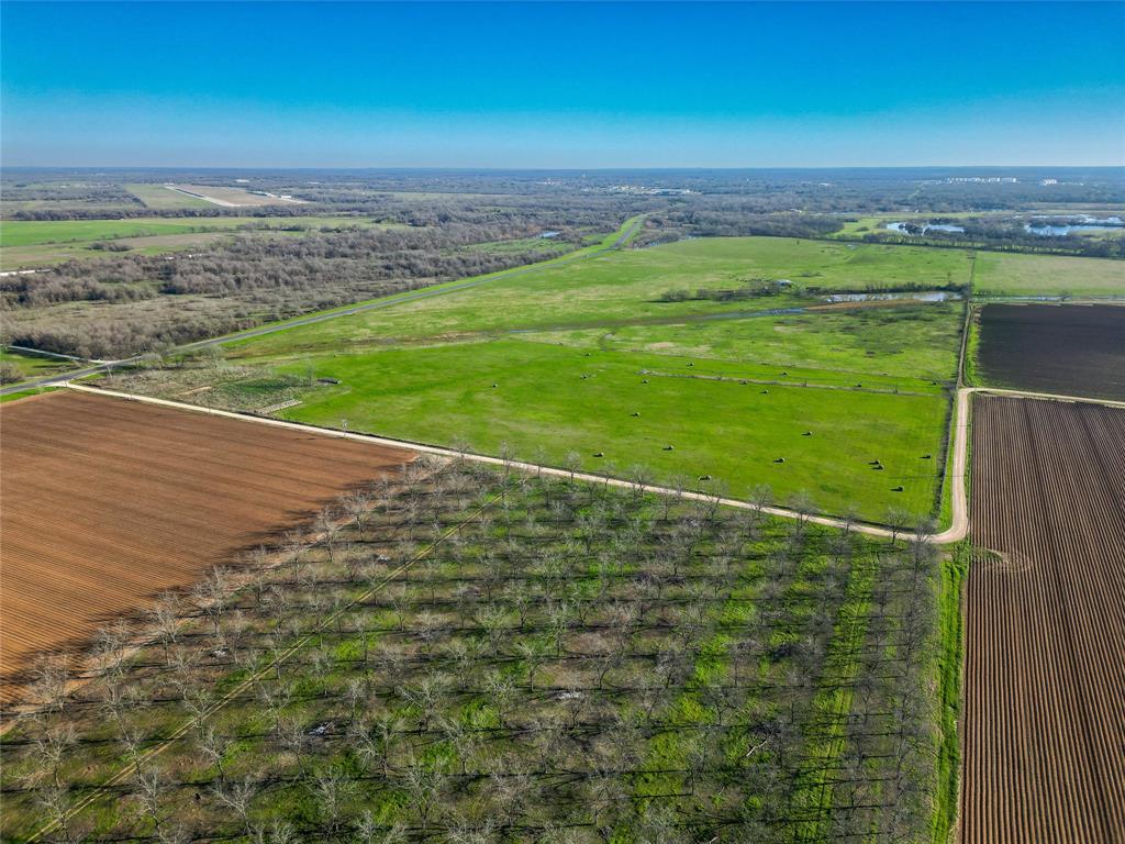 000 Highway 79, Hearne, Texas image 3