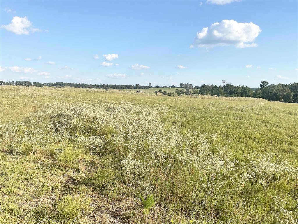 TBD Hunters Creek Trail, Hillister, Texas image 20