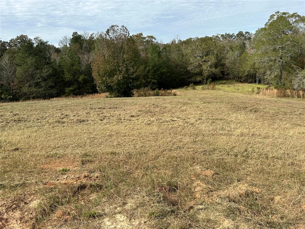 TBD Hunters Creek Trail, Hillister, Texas image 25