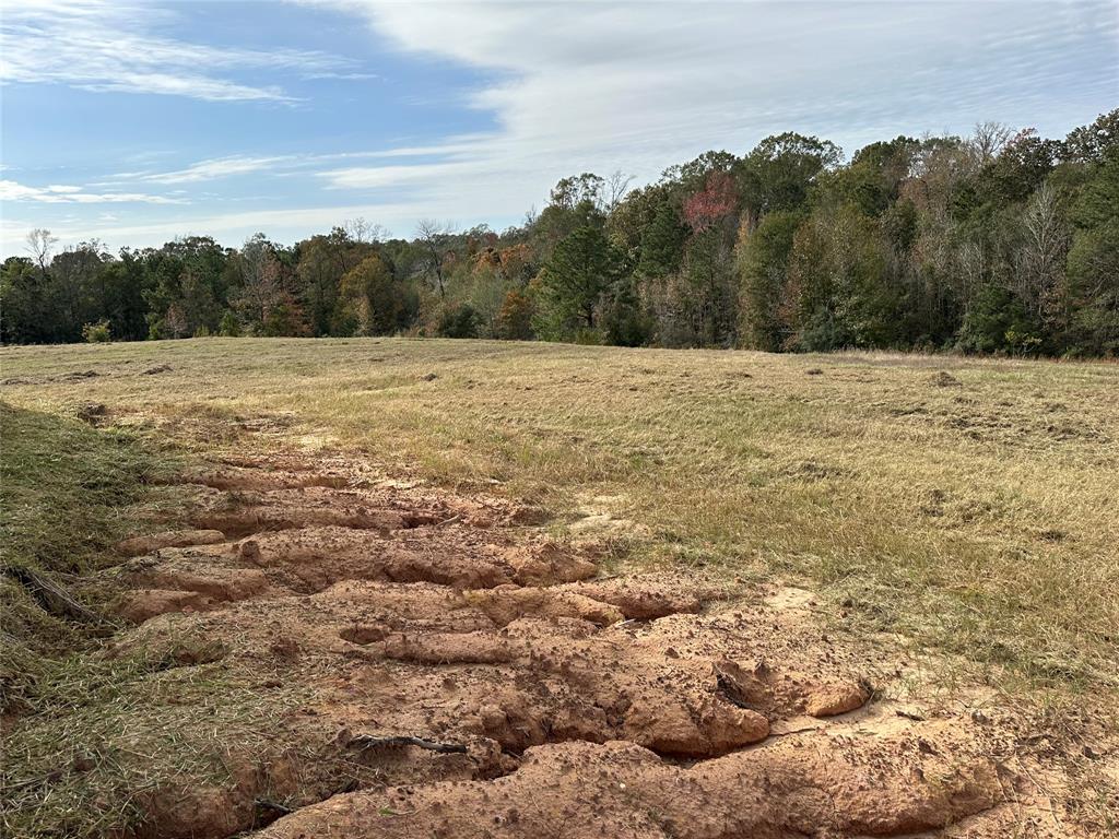 TBD Hunters Creek Trail, Hillister, Texas image 26