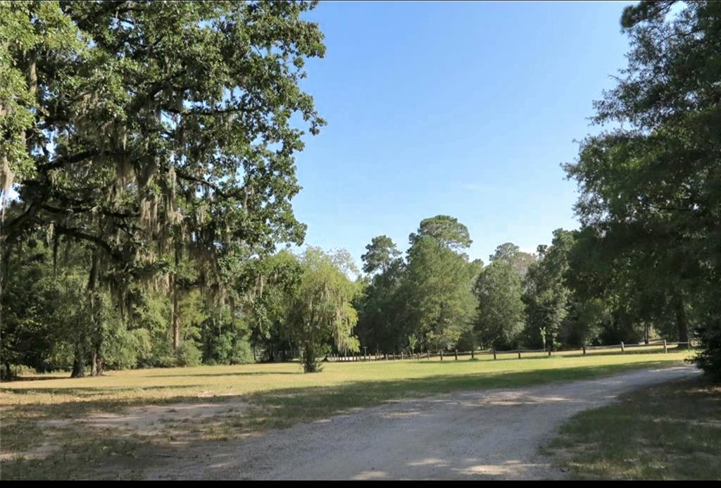 Hackberry Drive, Onalaska, Texas image 8