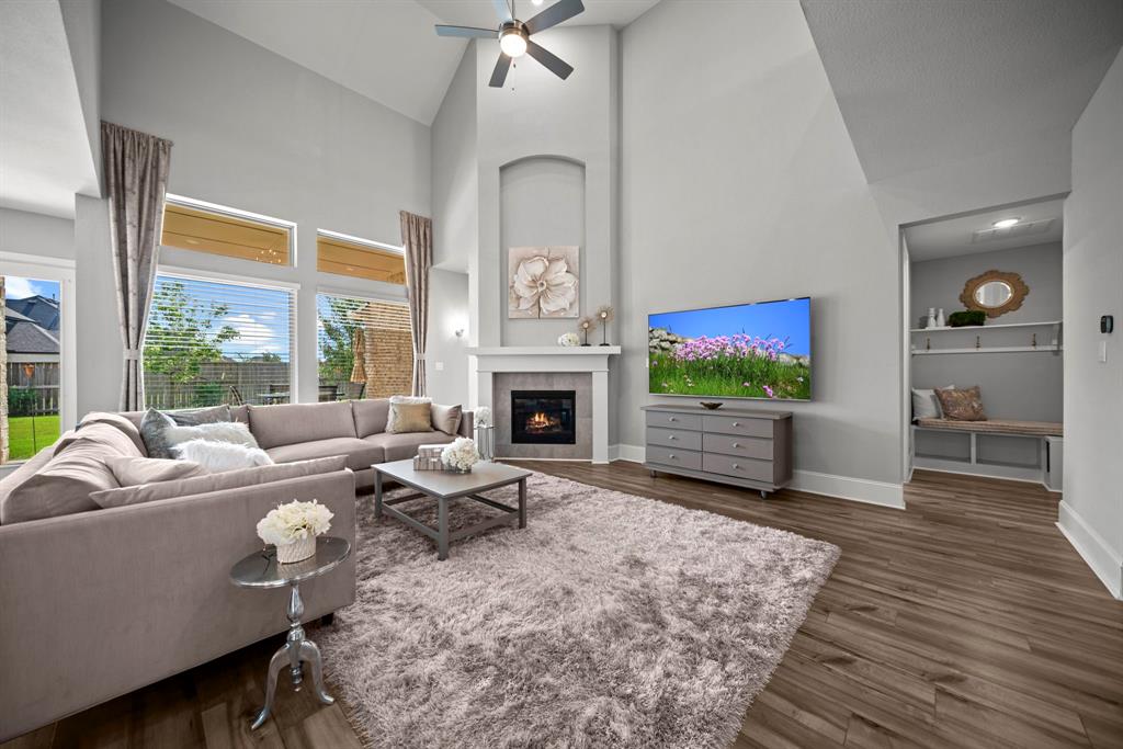 2310 Desert Holly Drive, Katy, Texas image 12