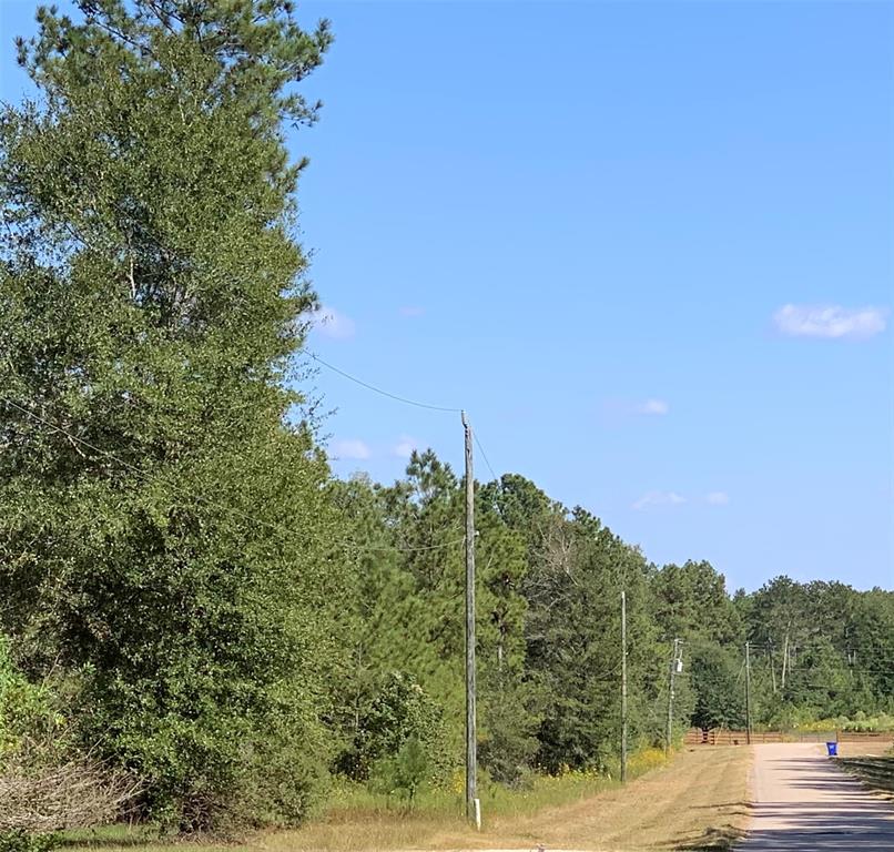501 Big Buck Drive, Cleveland, Texas image 5