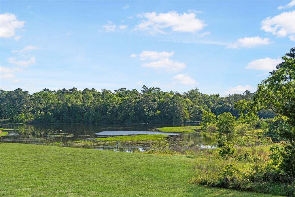 1499 Florecer Lane, Magnolia, Texas image 19