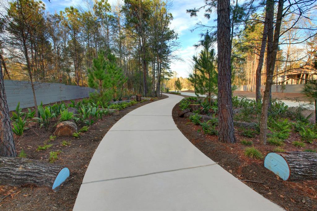 15011 Silvano Street, Conroe, Texas image 13