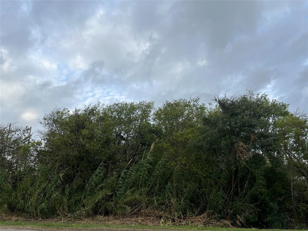 00 9th Street, San Leon, Texas image 8