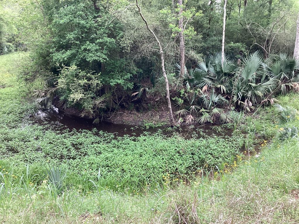 County Road 4876, Dayton, Texas image 30