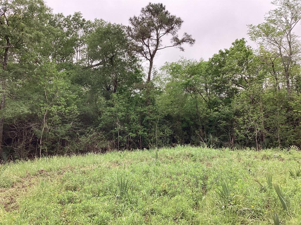 County Road 4876, Dayton, Texas image 34