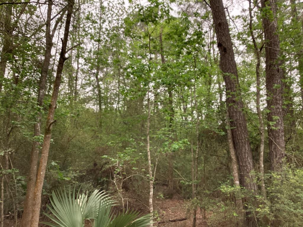 County Road 4876, Dayton, Texas image 18