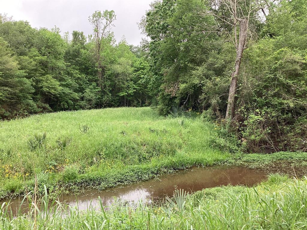County Road 4876, Dayton, Texas image 32
