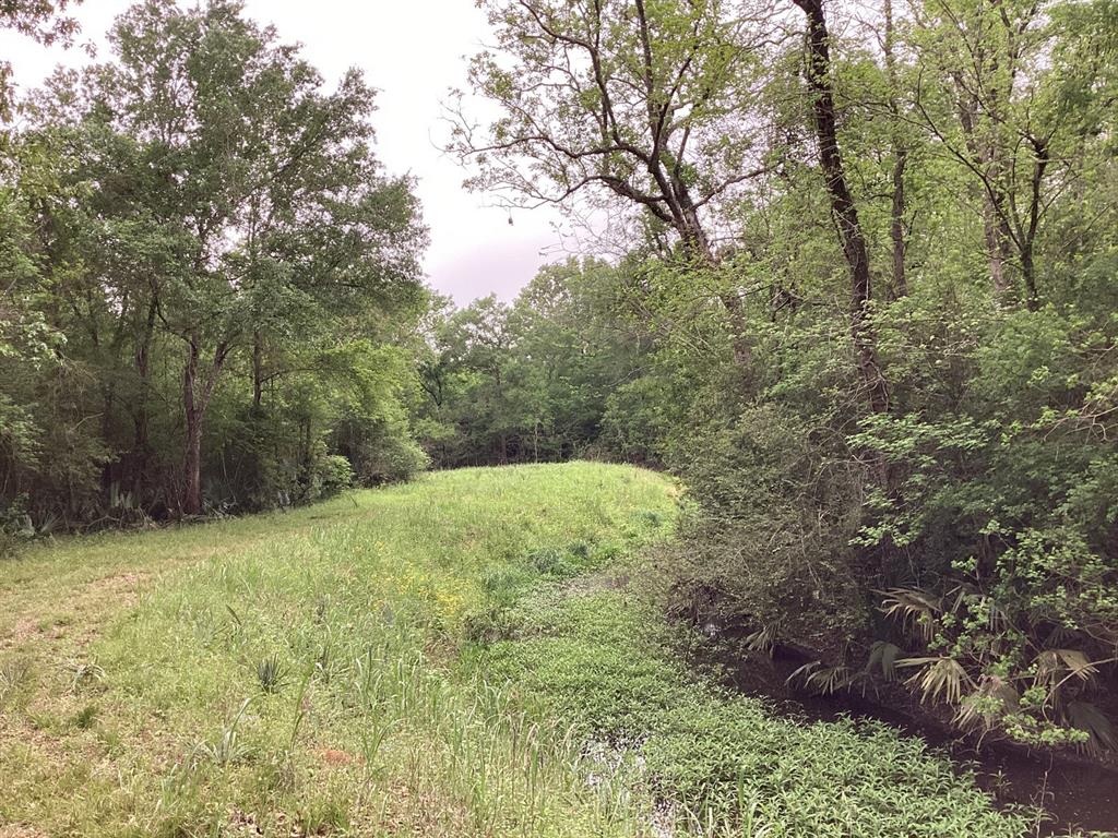 County Road 4876, Dayton, Texas image 28