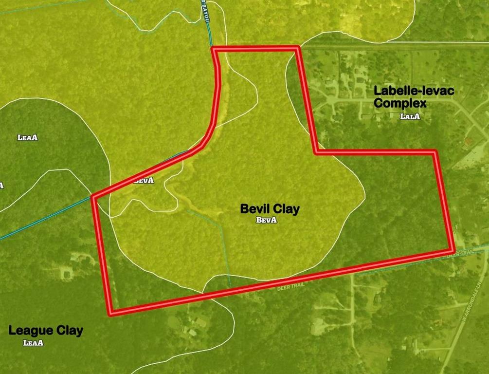 County Road 4876, Dayton, Texas image 39