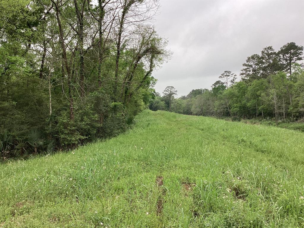 County Road 4876, Dayton, Texas image 19