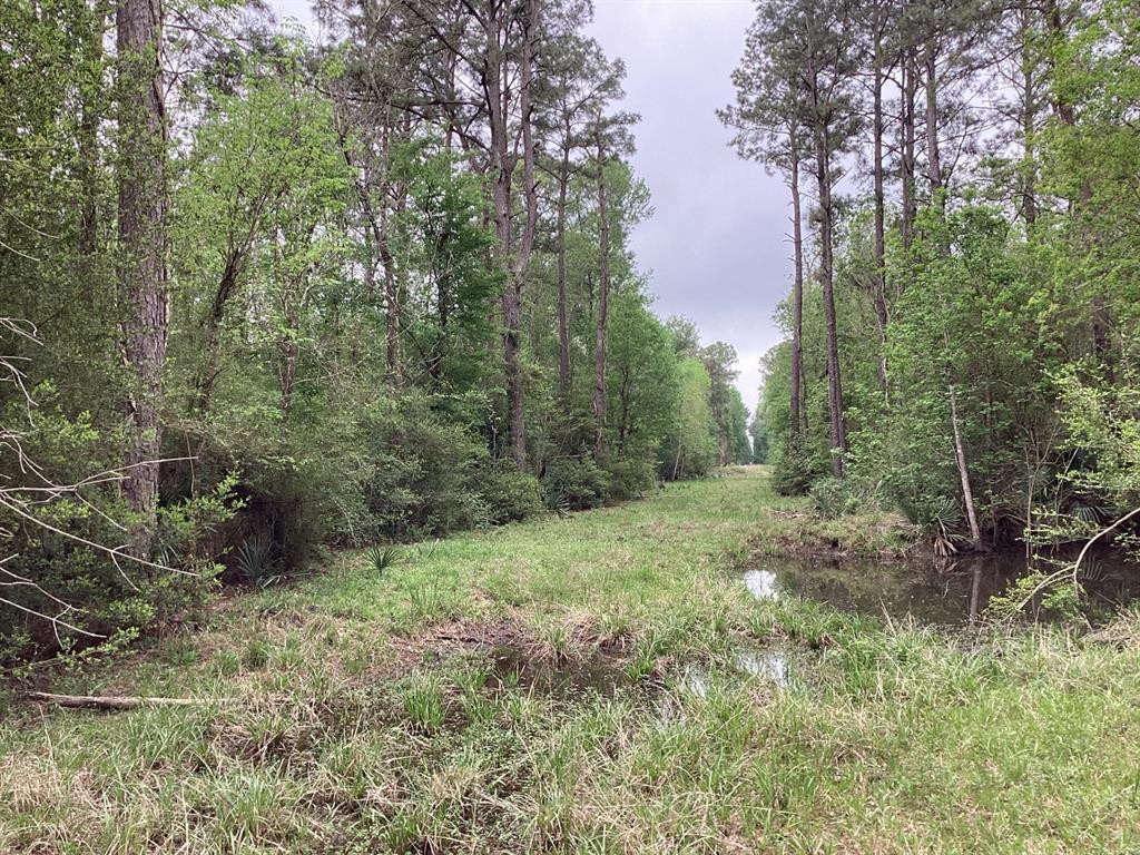 County Road 4876, Dayton, Texas image 26