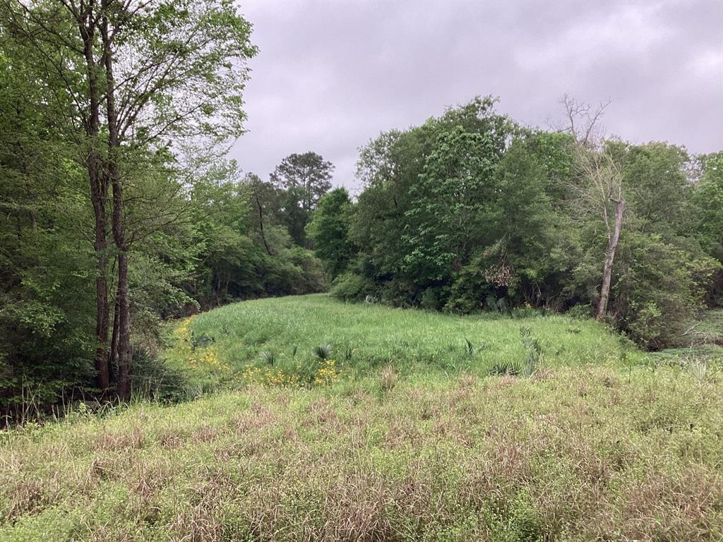 County Road 4876, Dayton, Texas image 27