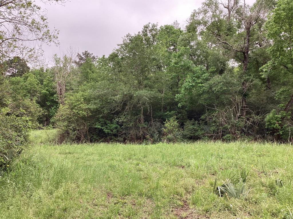 County Road 4876, Dayton, Texas image 37