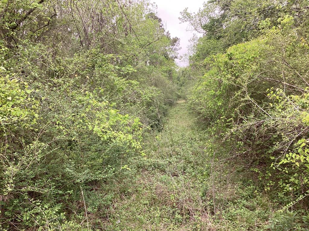 County Road 4876, Dayton, Texas image 10