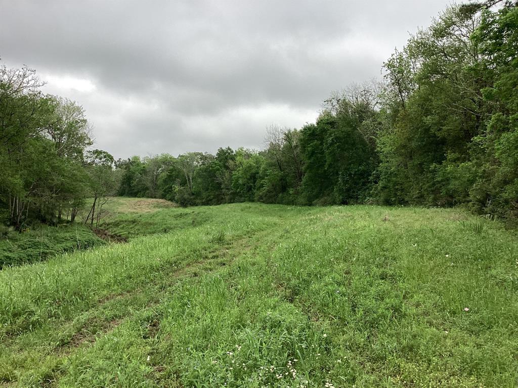 County Road 4876, Dayton, Texas image 31