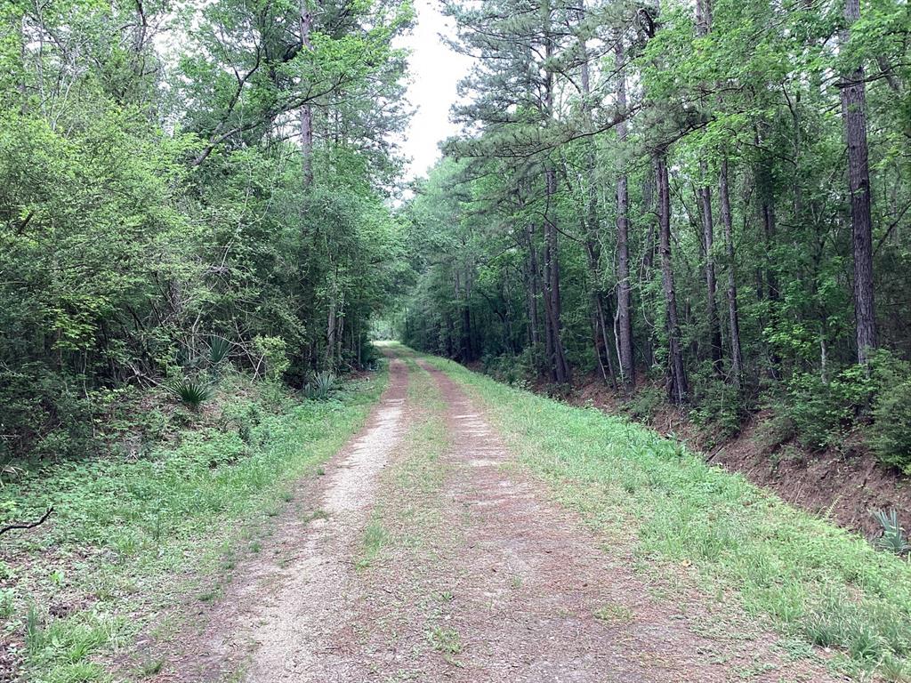 County Road 4876, Dayton, Texas image 8