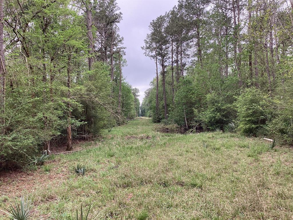 County Road 4876, Dayton, Texas image 15
