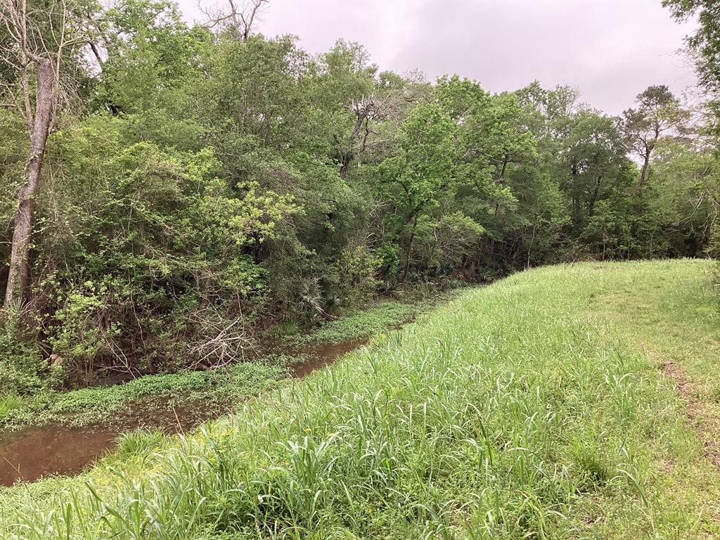 County Road 4876, Dayton, Texas image 33