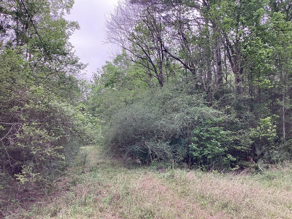 County Road 4876, Dayton, Texas image 13