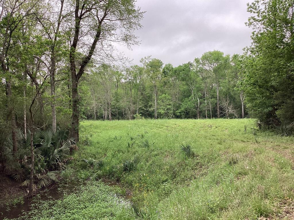 County Road 4876, Dayton, Texas image 29