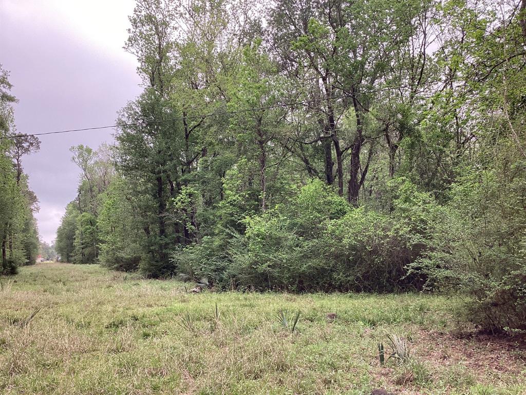 County Road 4876, Dayton, Texas image 16