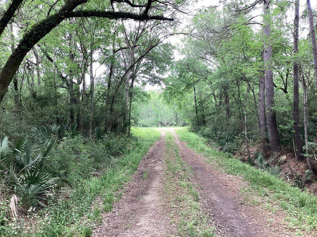 County Road 4876, Dayton, Texas image 9