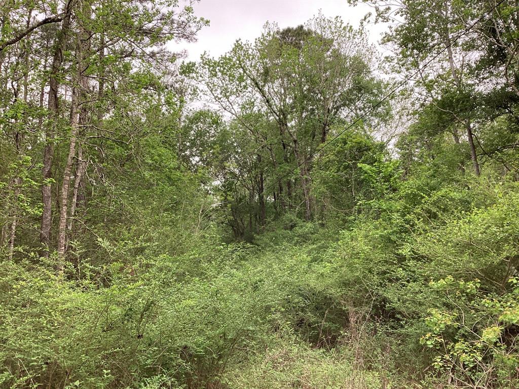 County Road 4876, Dayton, Texas image 17