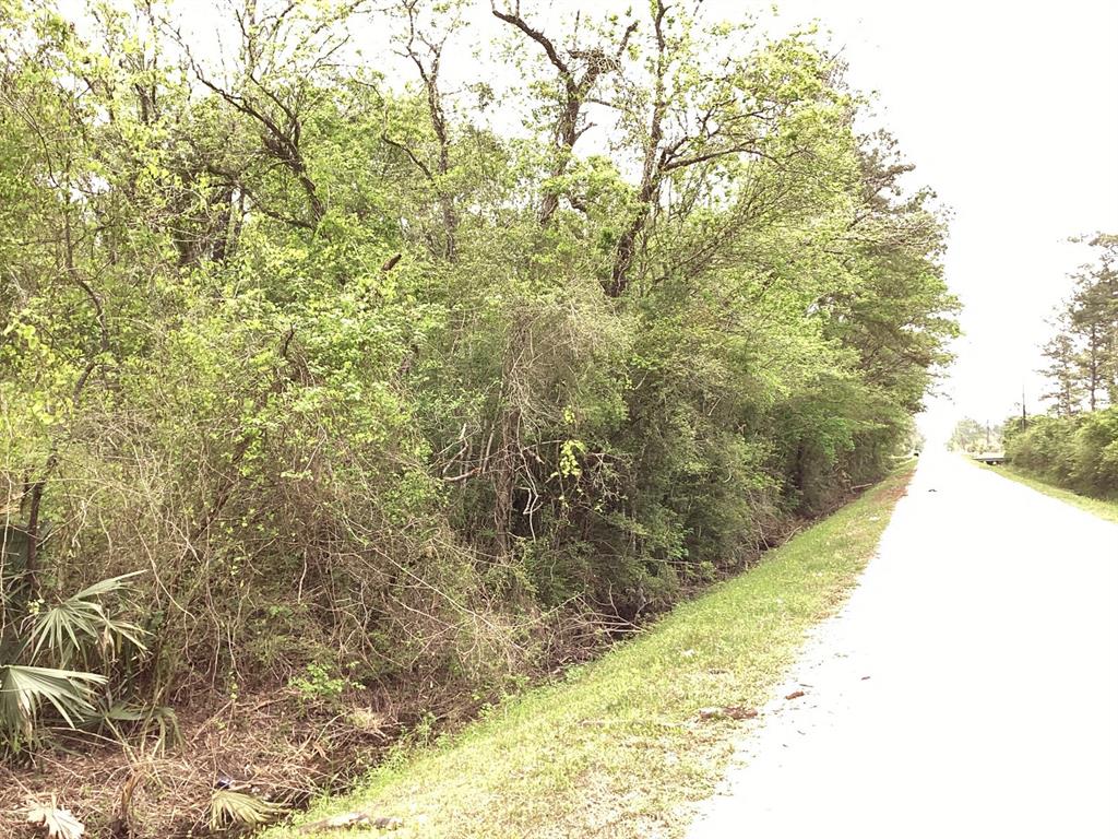 County Road 4876, Dayton, Texas image 6