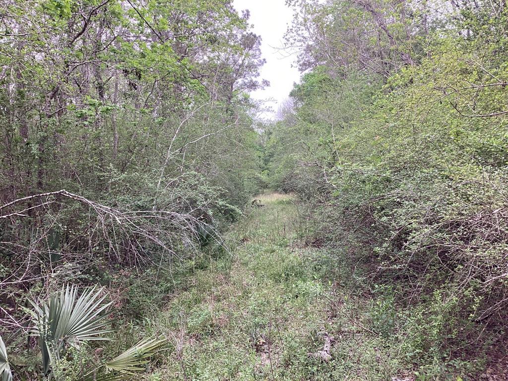 County Road 4876, Dayton, Texas image 12