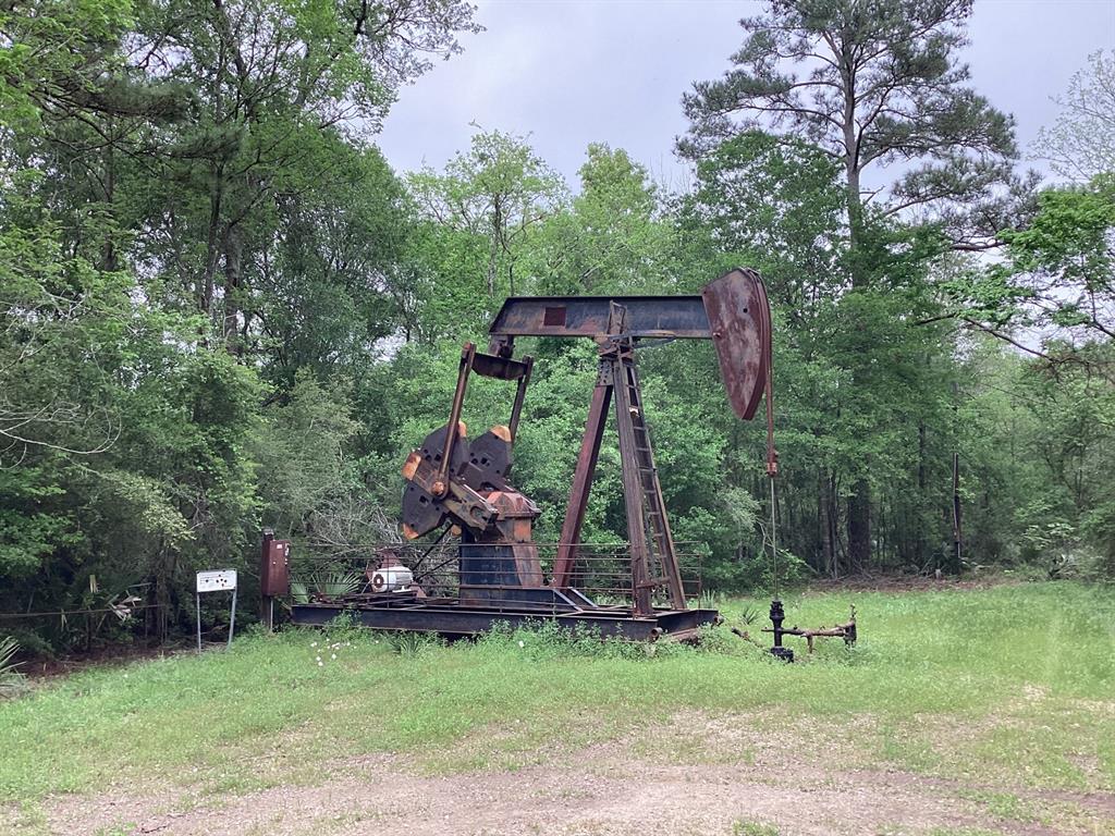 County Road 4876, Dayton, Texas image 23