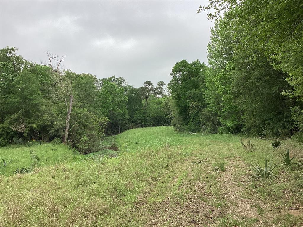 County Road 4876, Dayton, Texas image 25