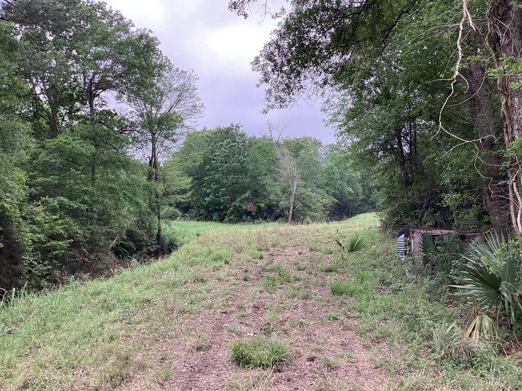 County Road 4876, Dayton, Texas image 24