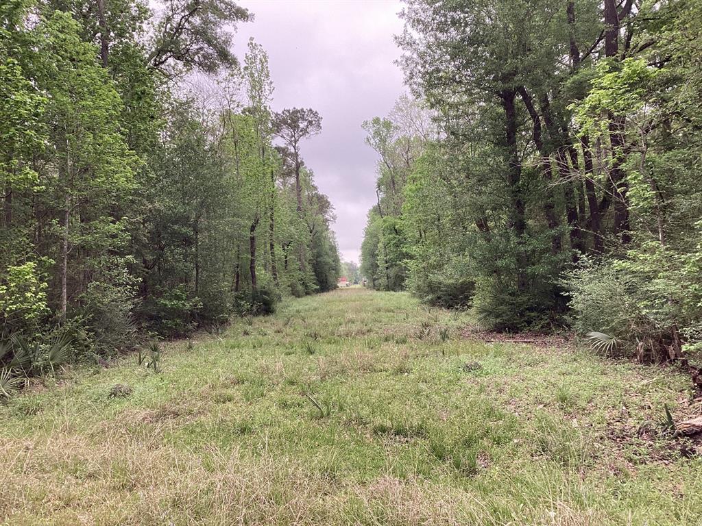 County Road 4876, Dayton, Texas image 14