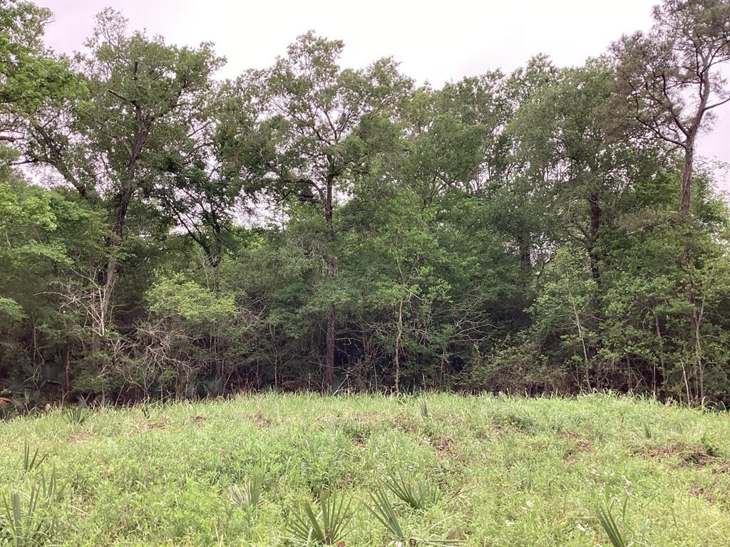 County Road 4876, Dayton, Texas image 36