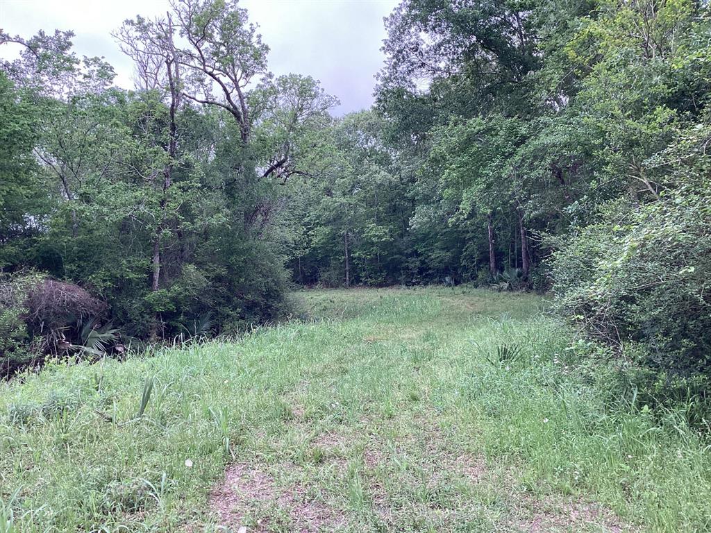 County Road 4876, Dayton, Texas image 35