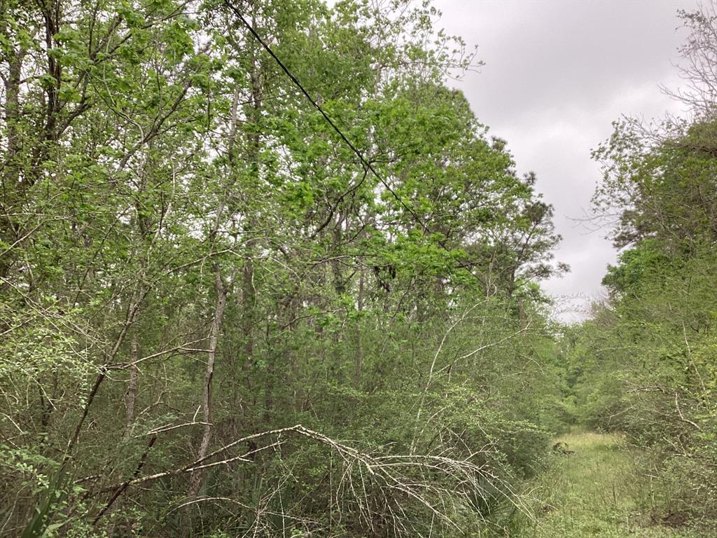 County Road 4876, Dayton, Texas image 11