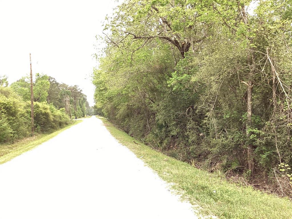County Road 4876, Dayton, Texas image 7