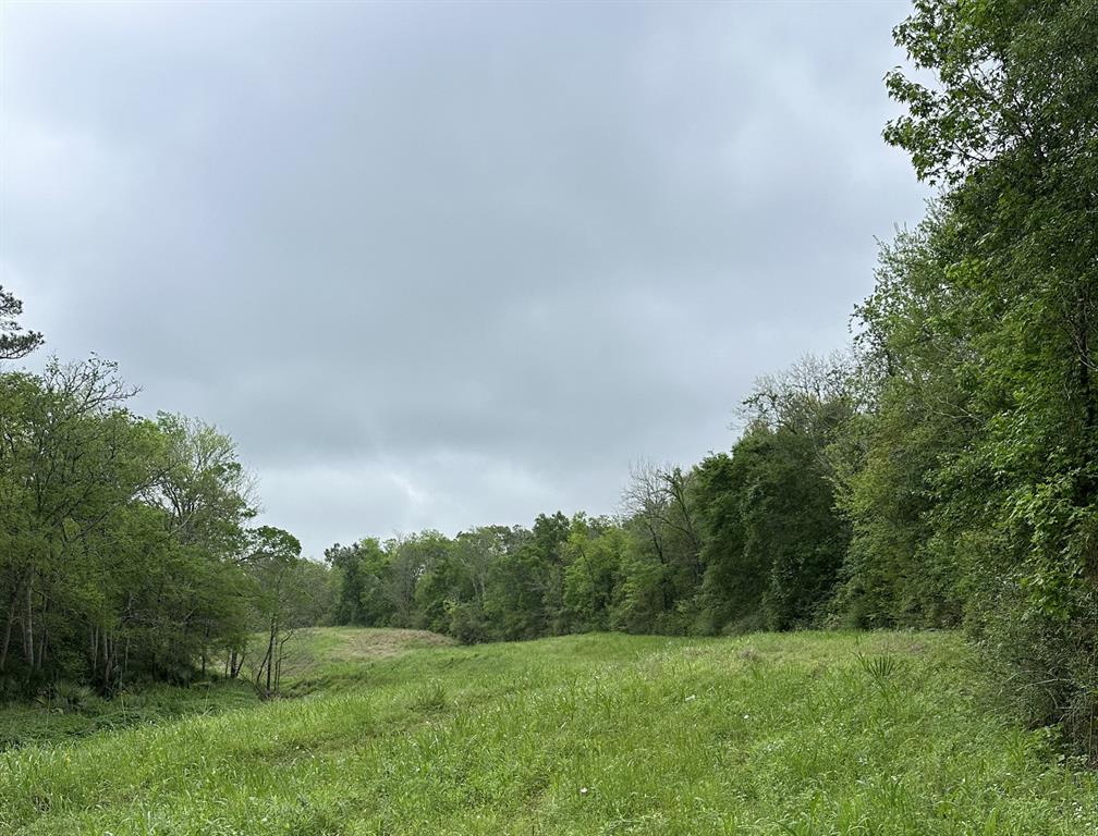 County Road 4876, Dayton, Texas image 20