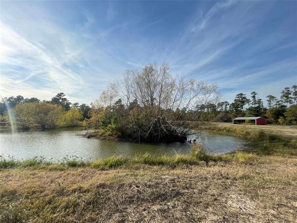 9381 Fm 1486 Road, Anderson, Texas image 7