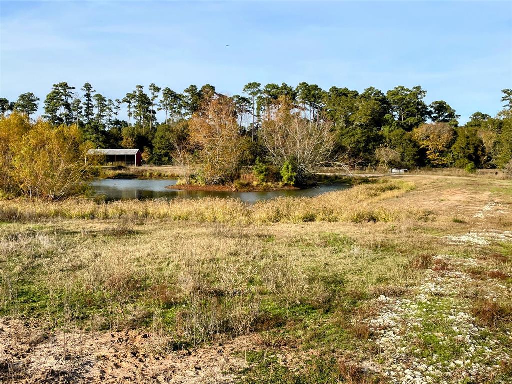 9381 Fm 1486 Road, Anderson, Texas image 8