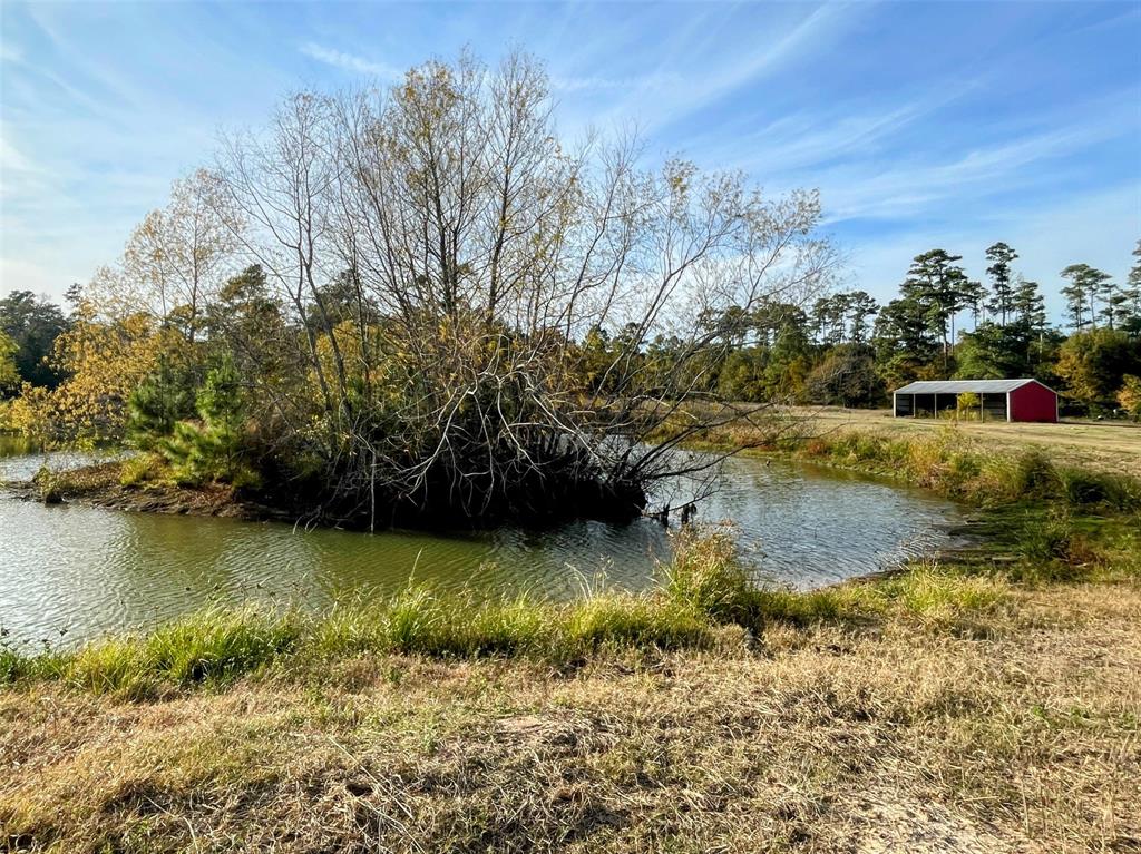 9381 Fm 1486 Road, Anderson, Texas image 6