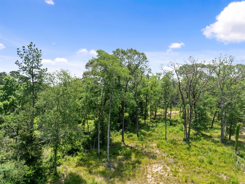 4015 W Fm 2693, New Waverly, Texas image 9