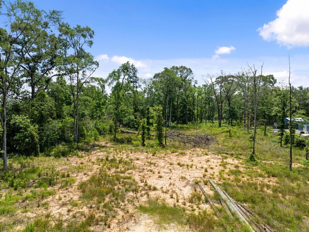 4015 W Fm 2693, New Waverly, Texas image 6