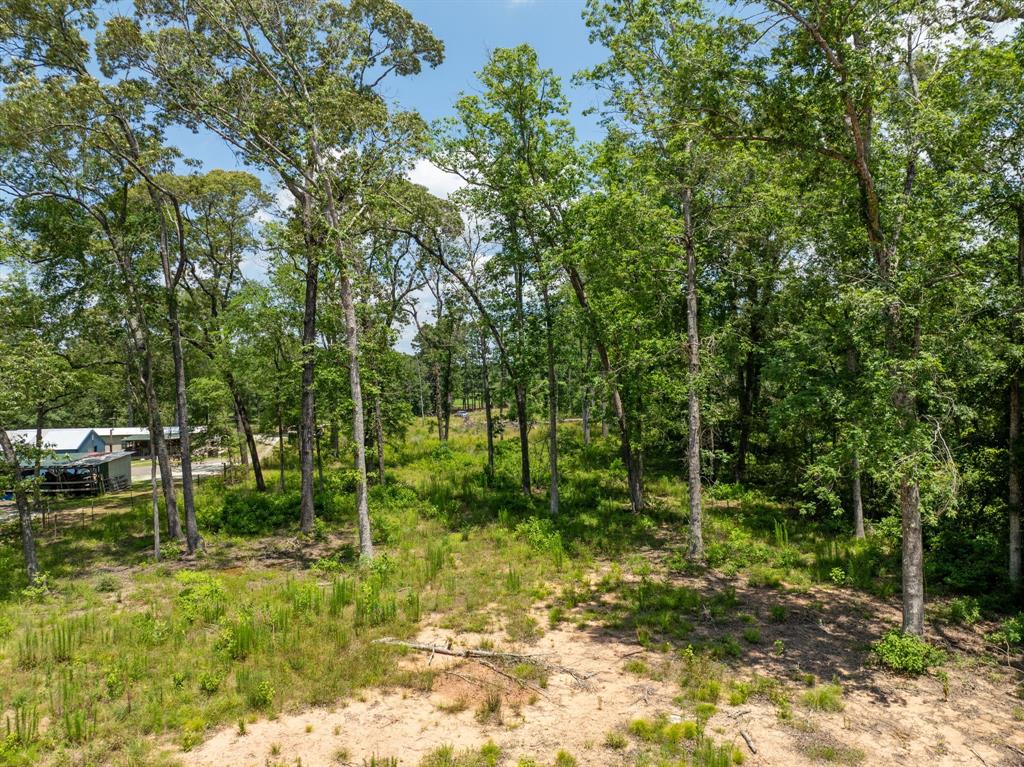 4015 W Fm 2693, New Waverly, Texas image 8